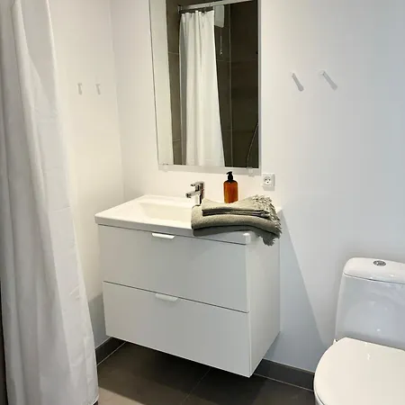 Charmerende Bolig Naer Domkirken * 里伯