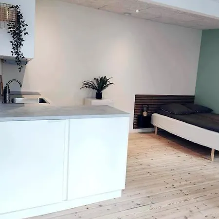 Charmerende Bolig Naer Domkirken