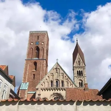 Charmerende Bolig Naer Domkirken Appartement *