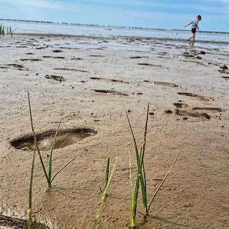 Charmerende Bolig Naer Domkirken 公寓