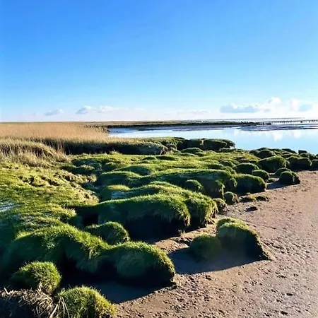 Appartement Charmerende Bolig Naer Domkirken
